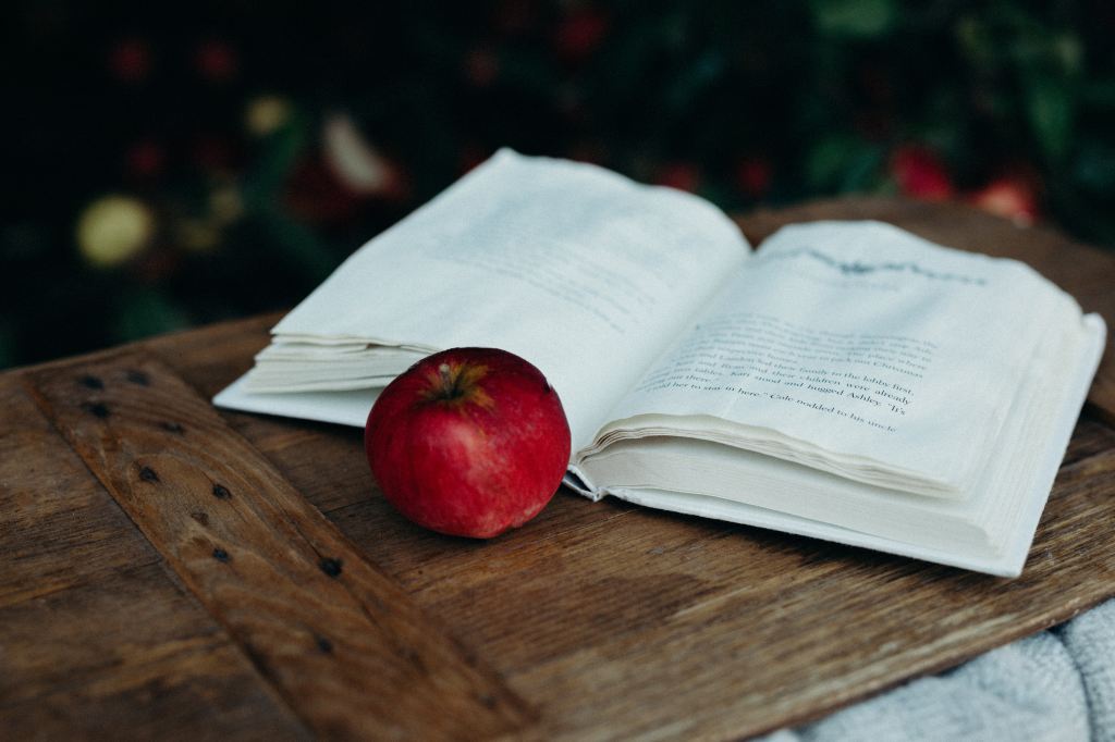 Open book on a wooden bench with a red apple in front of it.
Source: Unsplash