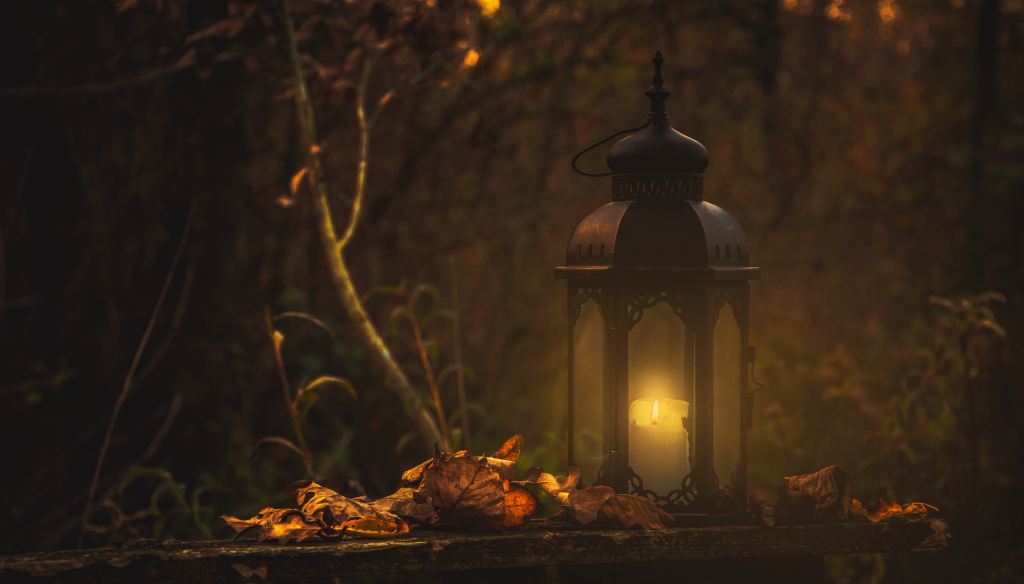 Lantern with candle on a bench with fallen leaves in an autumn forest.
Source: Unsplash